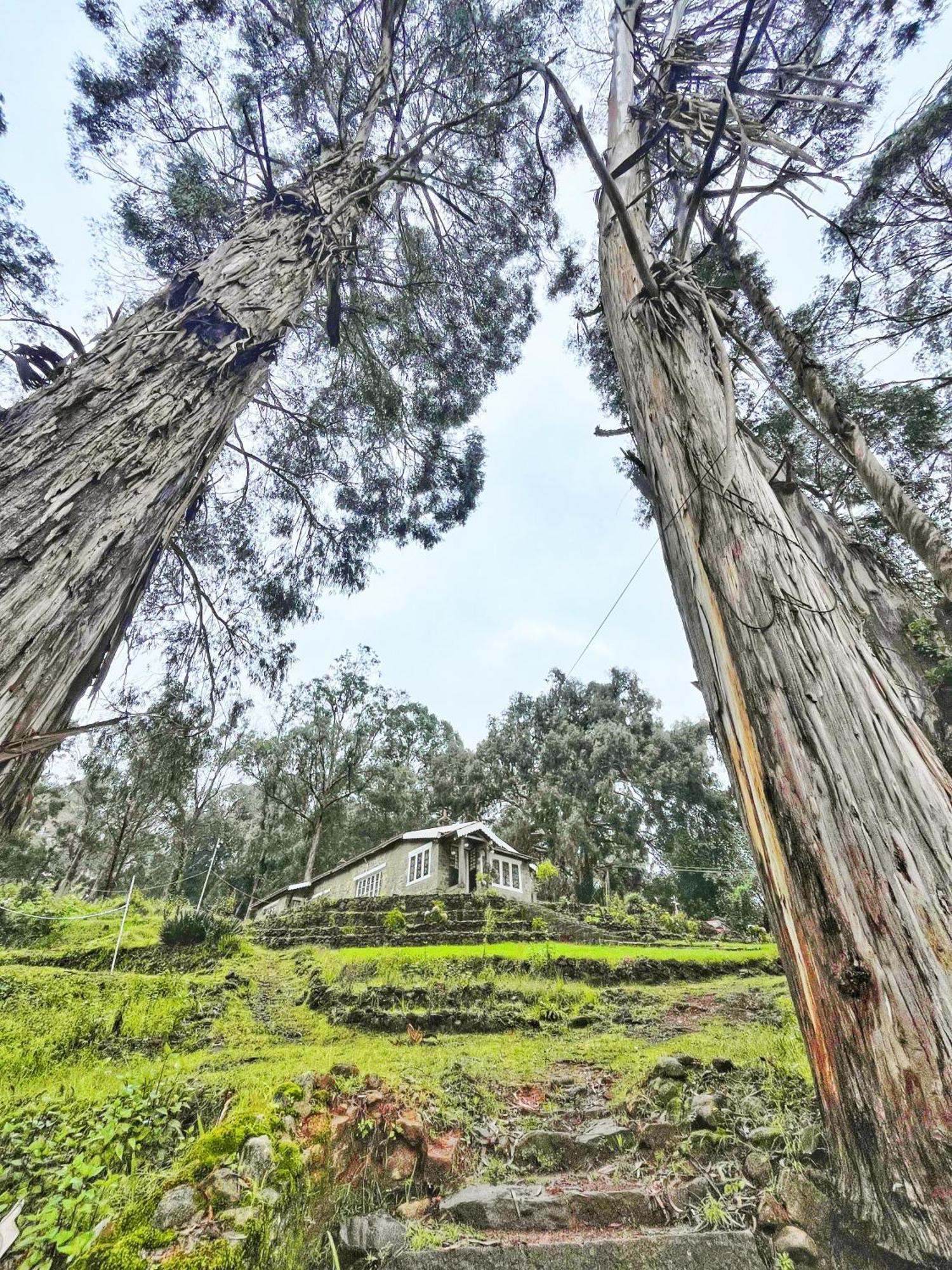 Springdale Villa Kodaikanal Ngoại thất bức ảnh