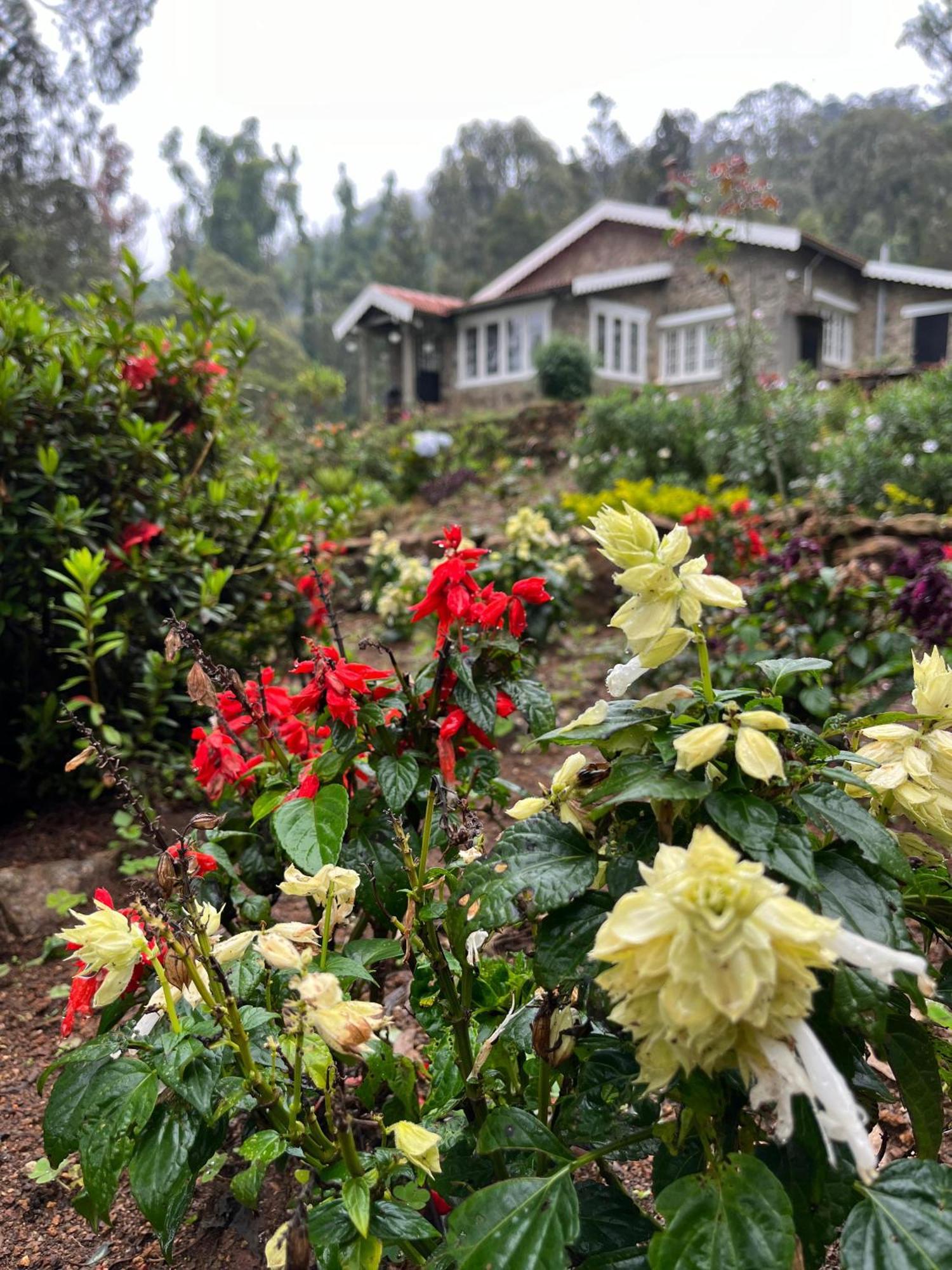 Springdale Villa Kodaikanal Ngoại thất bức ảnh