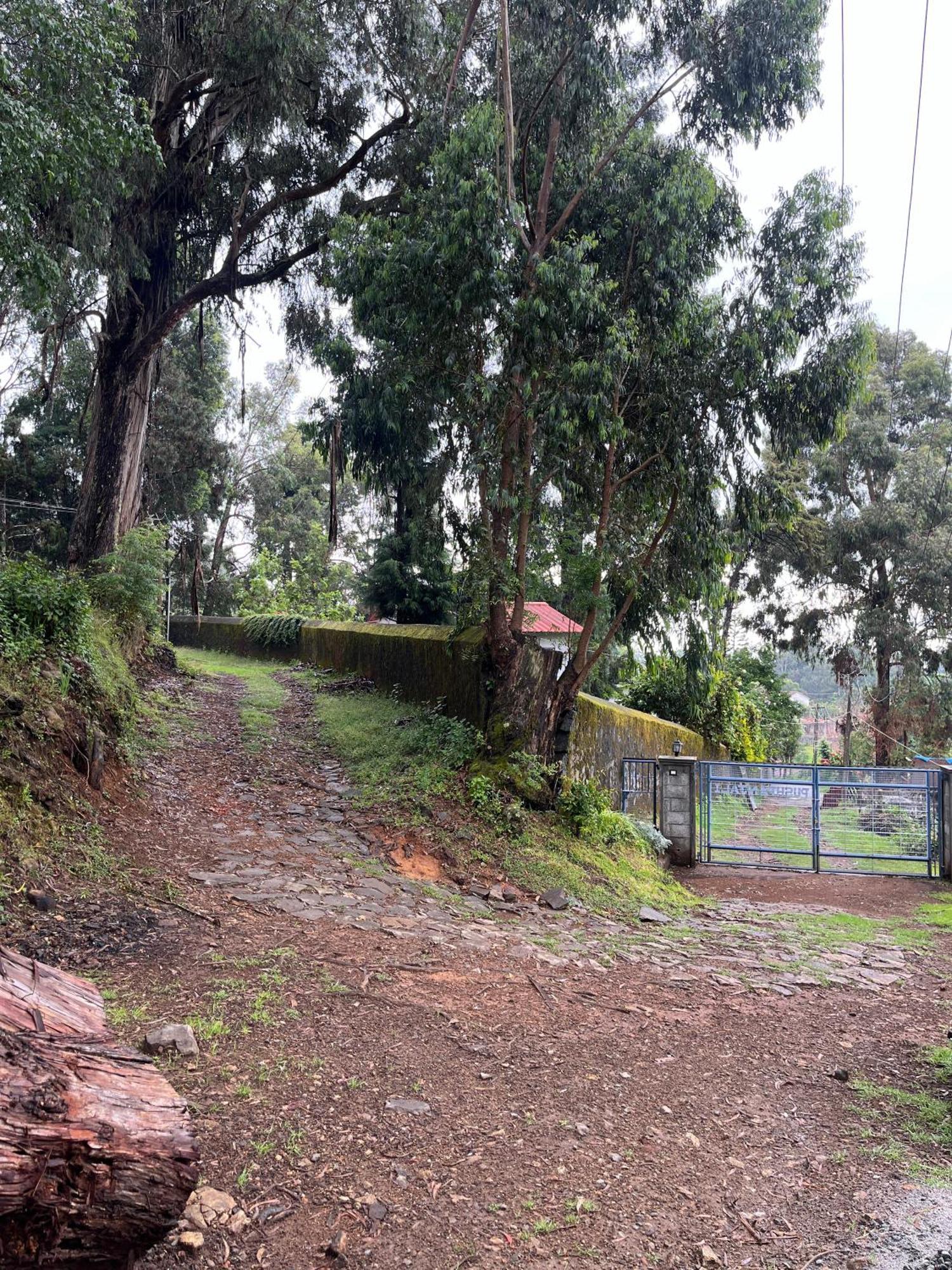 Springdale Villa Kodaikanal Ngoại thất bức ảnh
